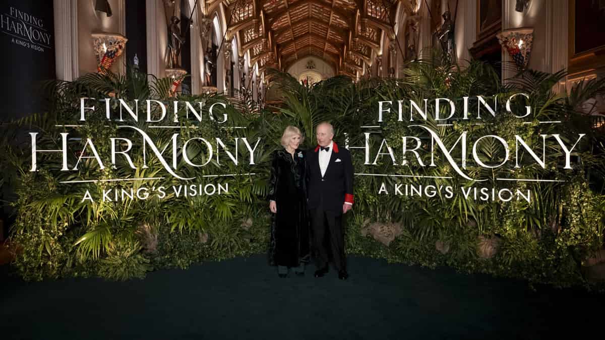 Finding Harmony: A King's Vision Review